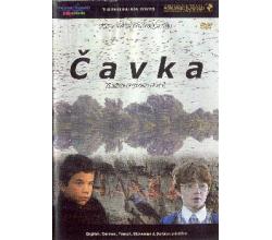 &#268;AVKA, 1988 SFRJ (DVD)
